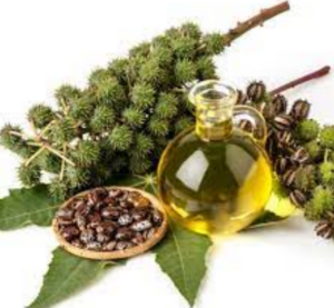 oil supplies-pure natural oils-oil supplies natural medicinal oils